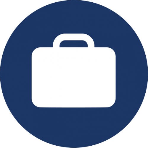 business-icon-reversed
