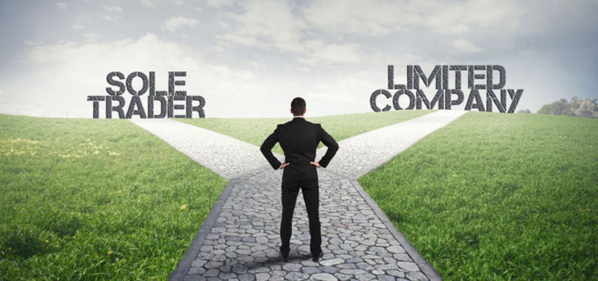 limited liability company